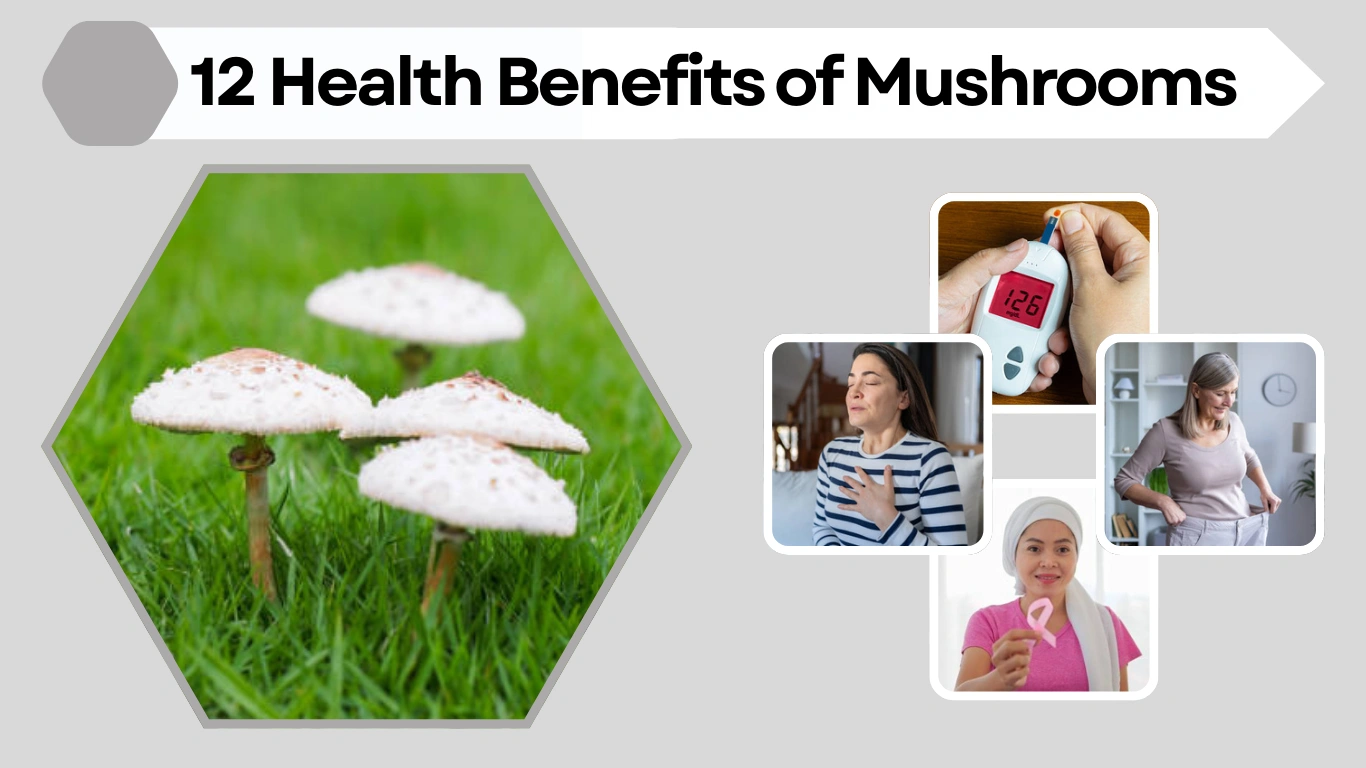 12 Health Benefits of Mushrooms for a Stronger Body