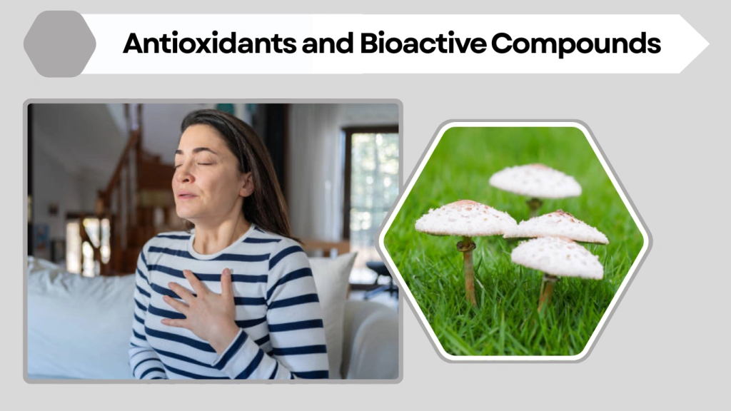 Antioxidants and Bioactive Compounds