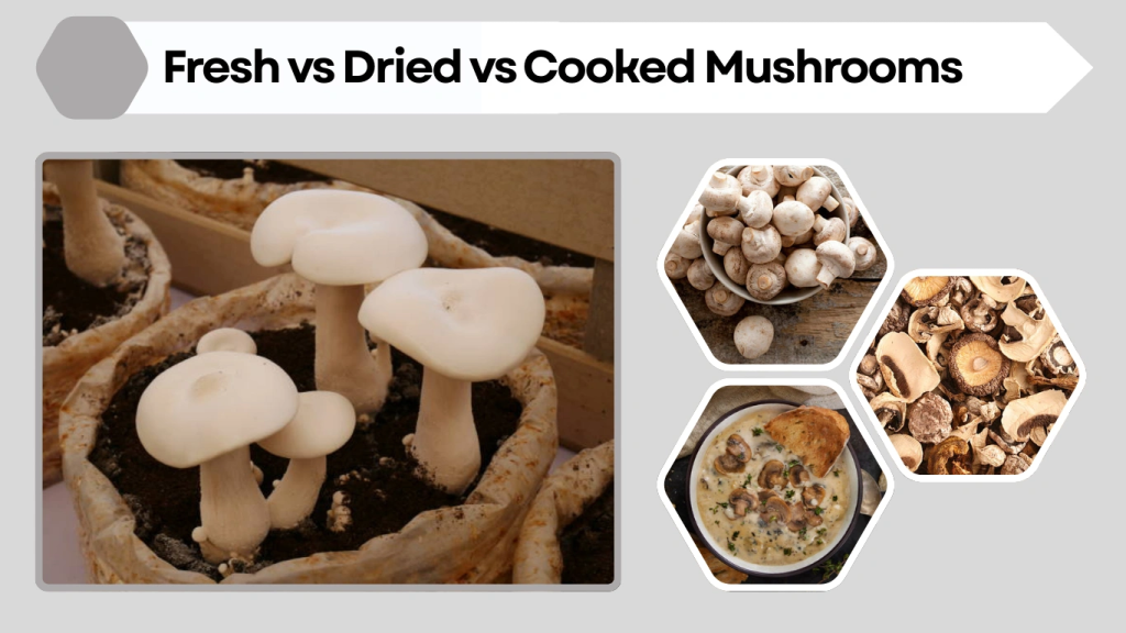 Fresh vs Dried vs Cooked Mushrooms