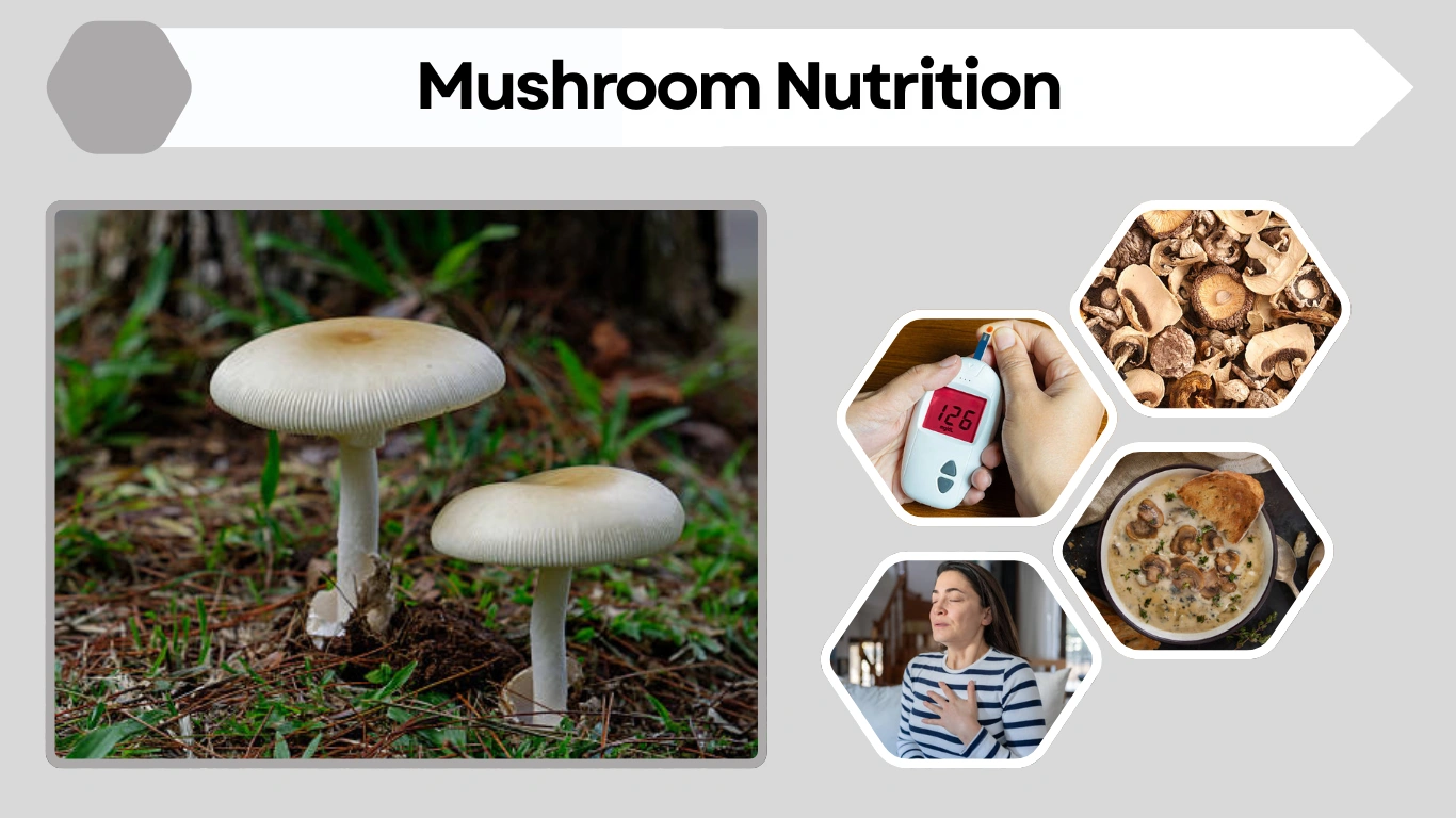 Mushroom Nutrition Complete Guide to Nutrients in Mushrooms
