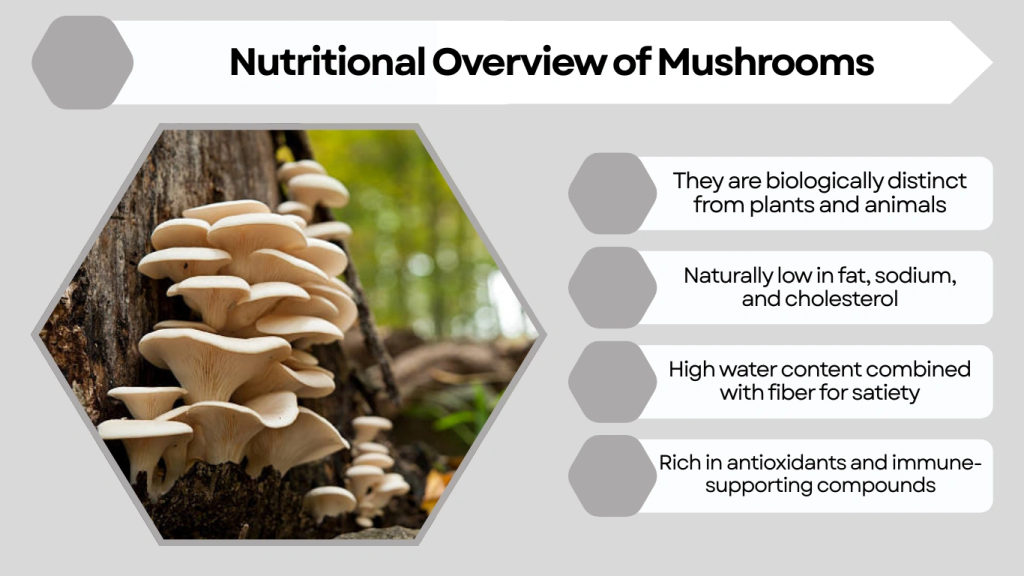 Nutritional Overview of Mushrooms