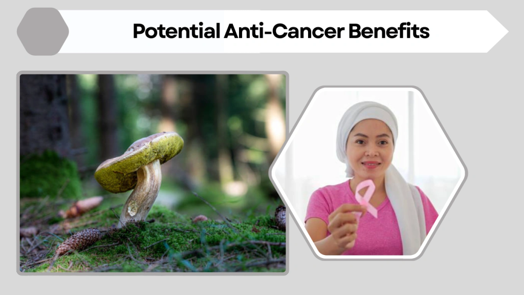 Potential Anti-Cancer Benefits