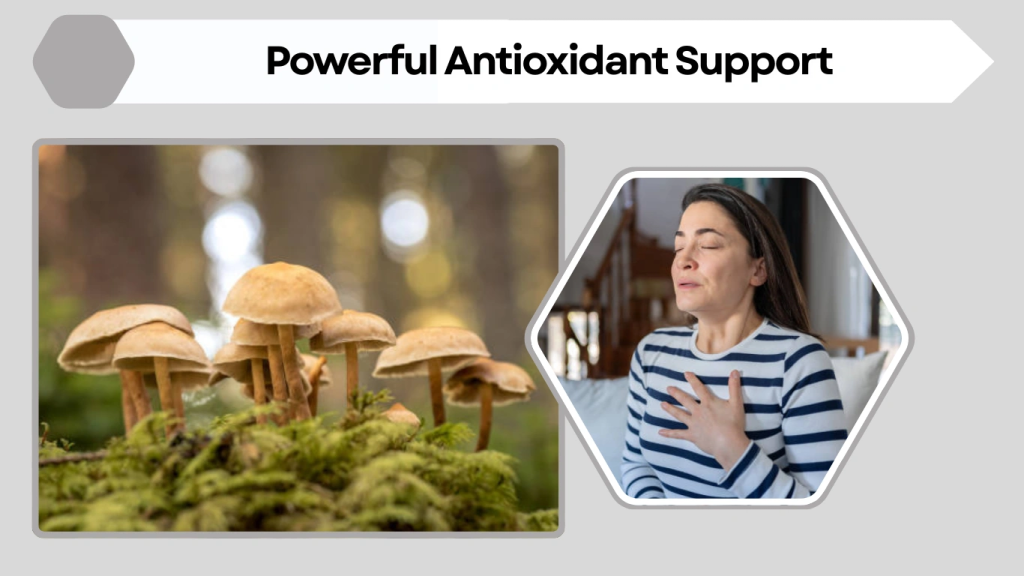 Powerful Antioxidant Support