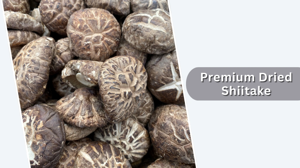Premium Dried Shiitake