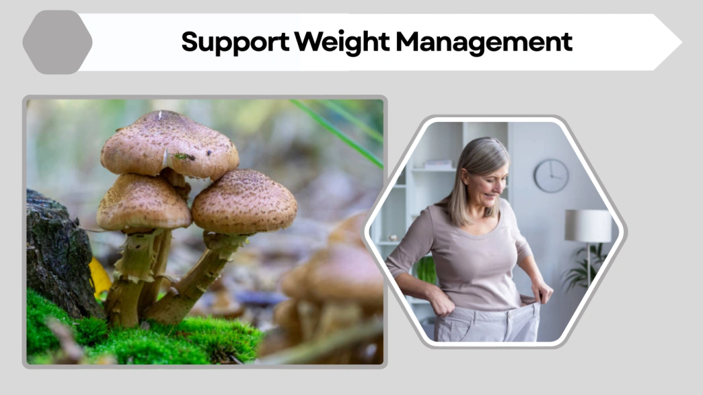 Support Weight Management