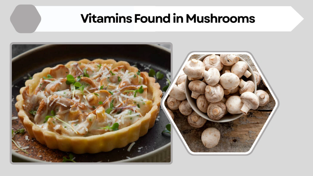 Vitamins Found in Mushrooms