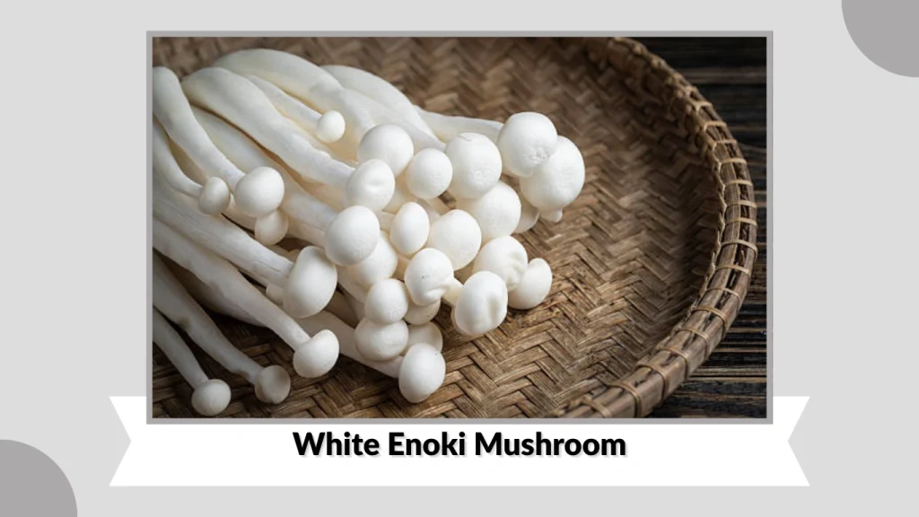 White Enoki Mushroom