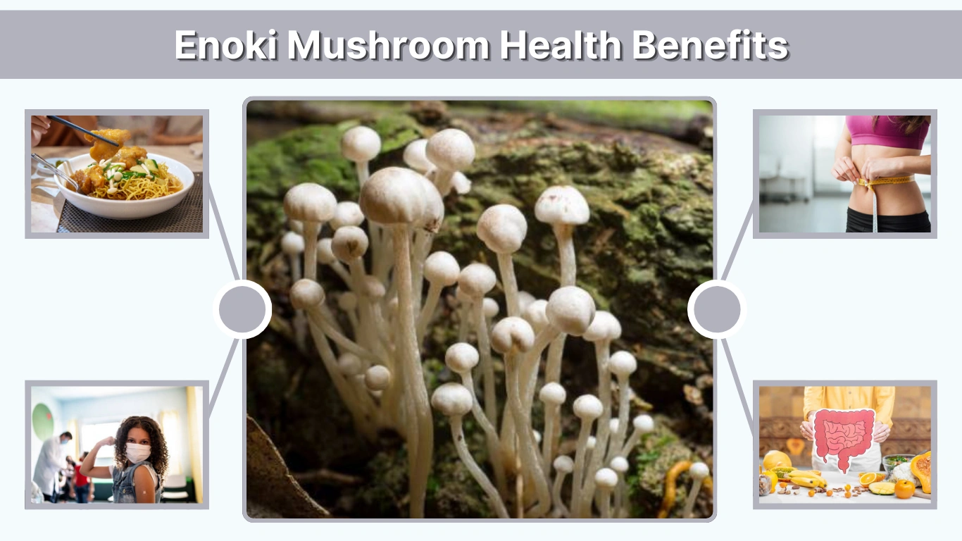 Enoki Mushroom Health Benefits Nutrition, Uses, and Risks