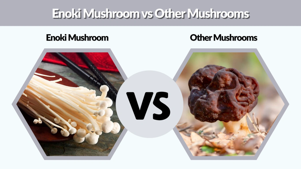 Enoki Mushroom vs Other Mushrooms