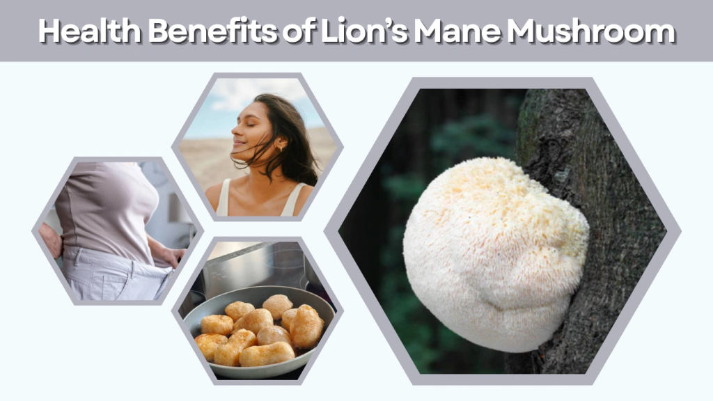 Health Benefits of Lion’s Mane Mushroom