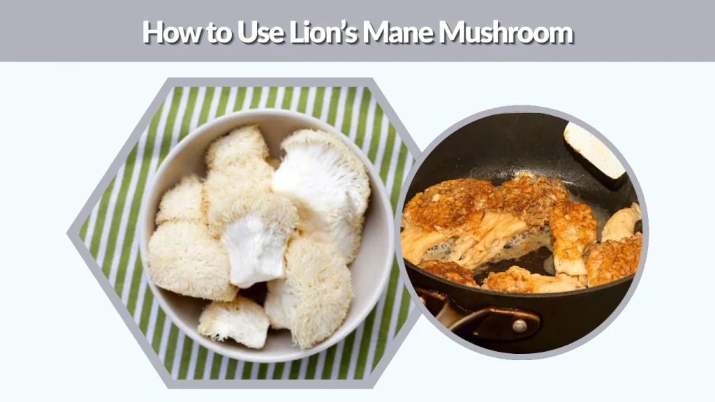 How to Use Lion’s Mane Mushroom