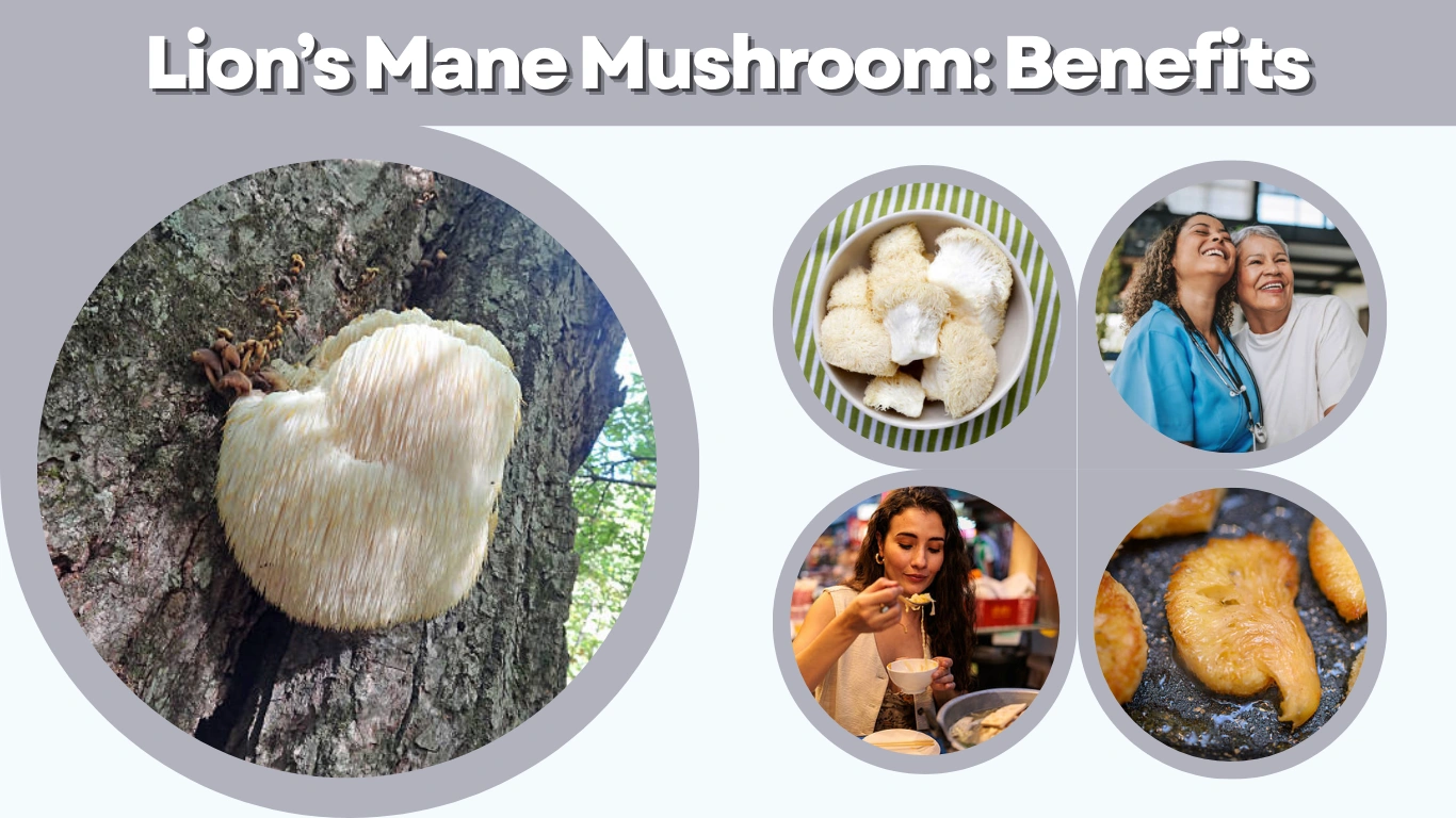 Lion’s Mane Mushroom Benefits, Uses, Dosage, and Safety
