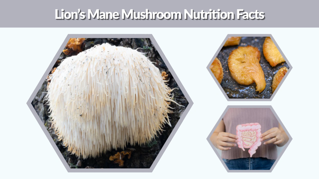 Lion’s Mane Mushroom Nutrition Facts