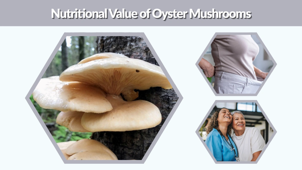 Nutritional Value of Oyster Mushrooms