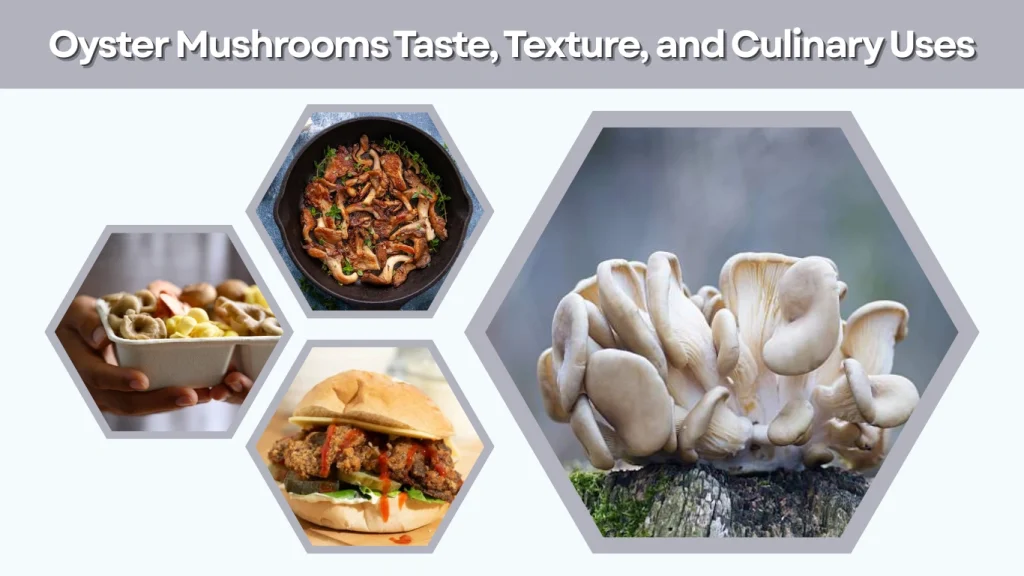 Oyster Mushrooms Taste, Texture, and Culinary Uses