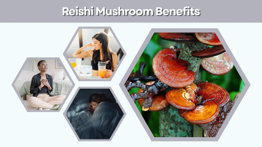 Reishi Mushroom Benefits