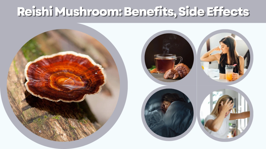 Reishi Mushroom Benefits, Side Effects & Identification Guide