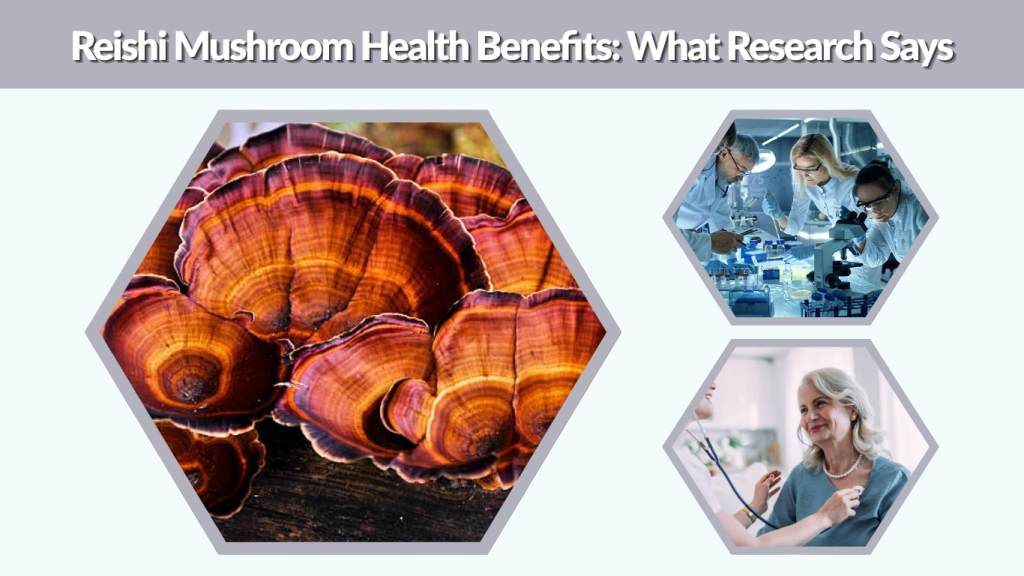Reishi Mushroom Health Benefits What Research Says