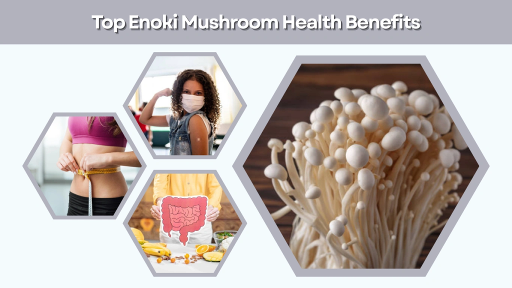 Top Enoki Mushroom Health Benefits