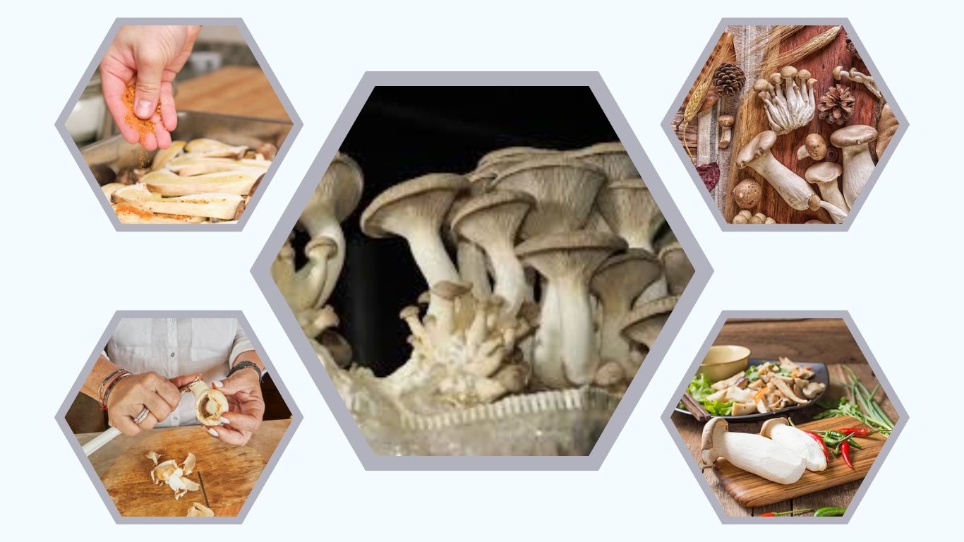 How to Cook King Oyster Mushrooms: Step-by-Step Guide