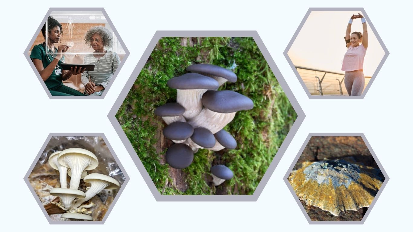 Pearl Oyster Mushroom: Benefits, Growing & Recipes Guide