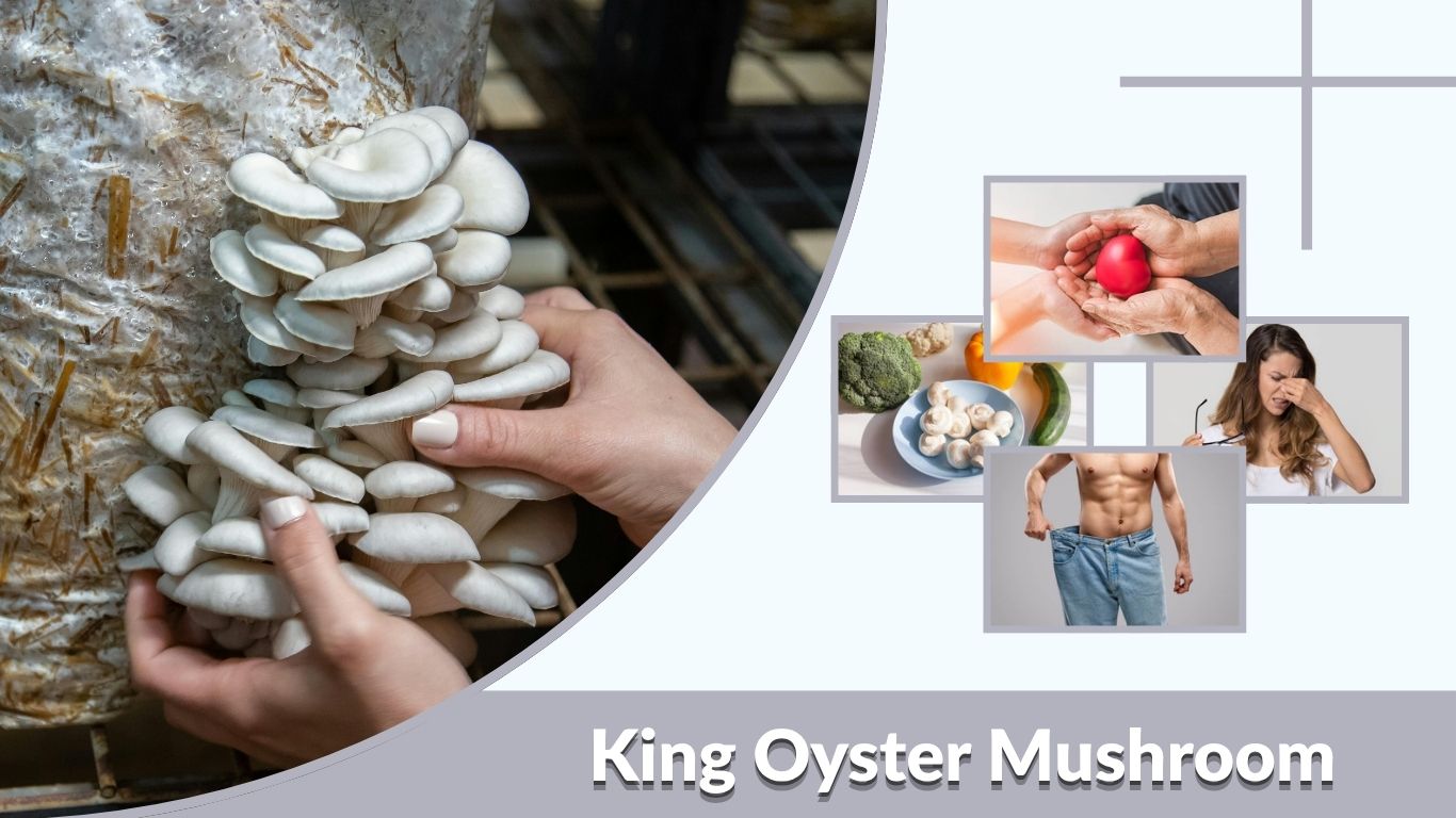 King Oyster Mushroom: Benefits, Nutrition & Complete Guide