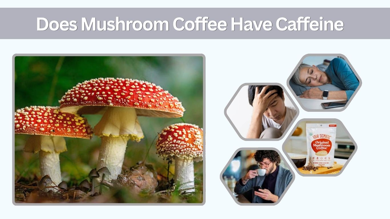 Does Mushroom Coffee Have Caffeine? Amount, Brands & Facts