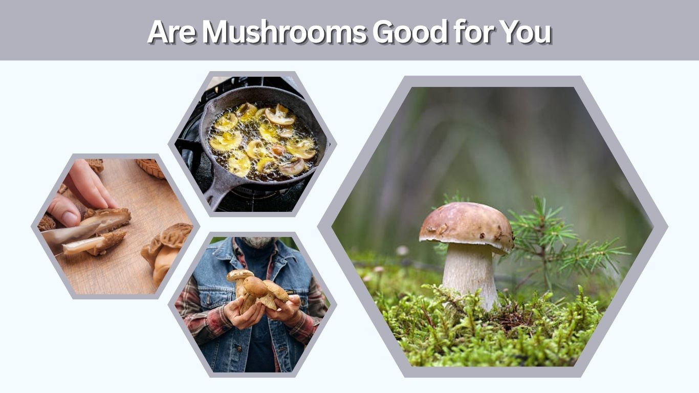 Are Mushrooms Good for You? Benefits & Facts