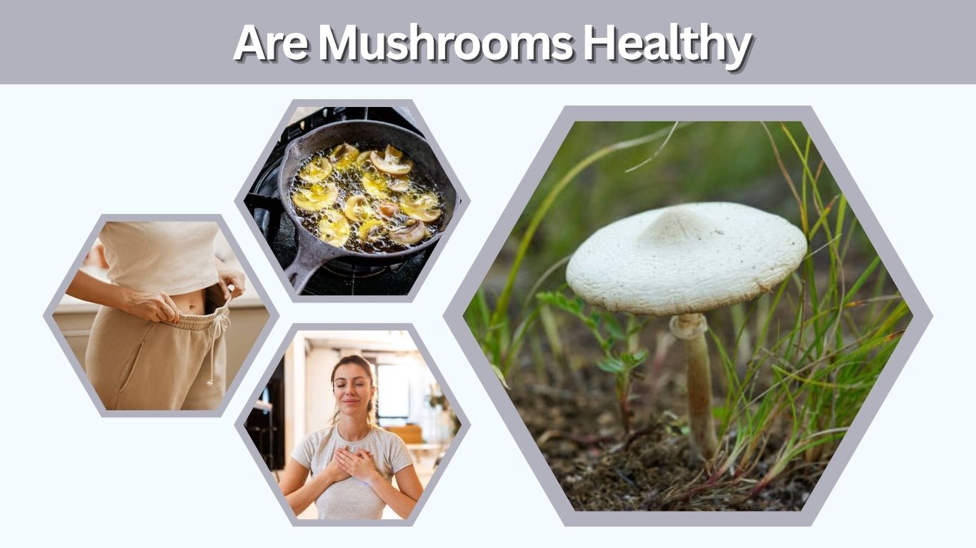 Are Mushrooms Healthy? Benefits & What to Know
