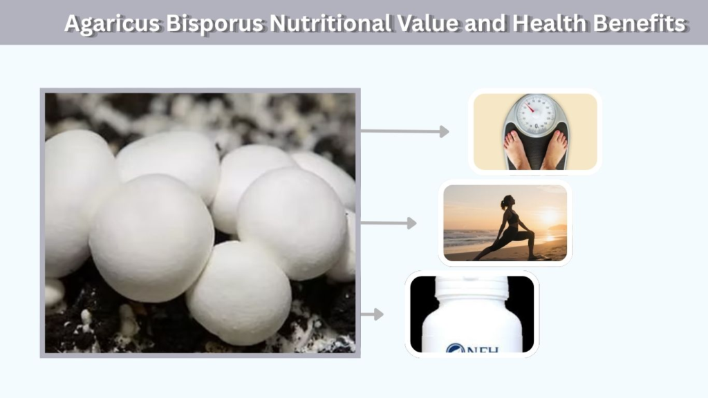 Agaricus Bisporus Nutritional Value and Health Benefits