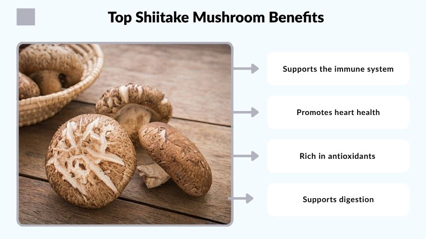 Top Shiitake Mushroom Benefits