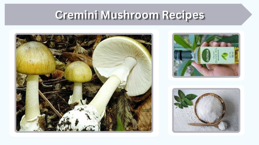 Cremini Mushroom Recipes