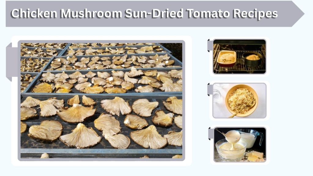 Chicken Mushroom Sun-Dried Tomato Recipes