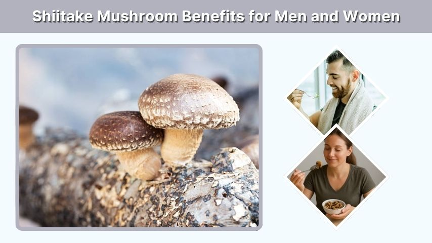 Shiitake Mushroom Benefits for Men and Women