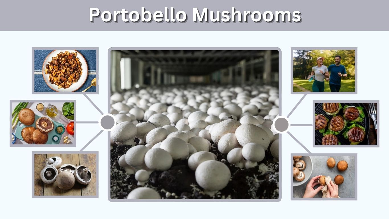 Portobello Mushrooms: Health, Nutrition and Benefits
