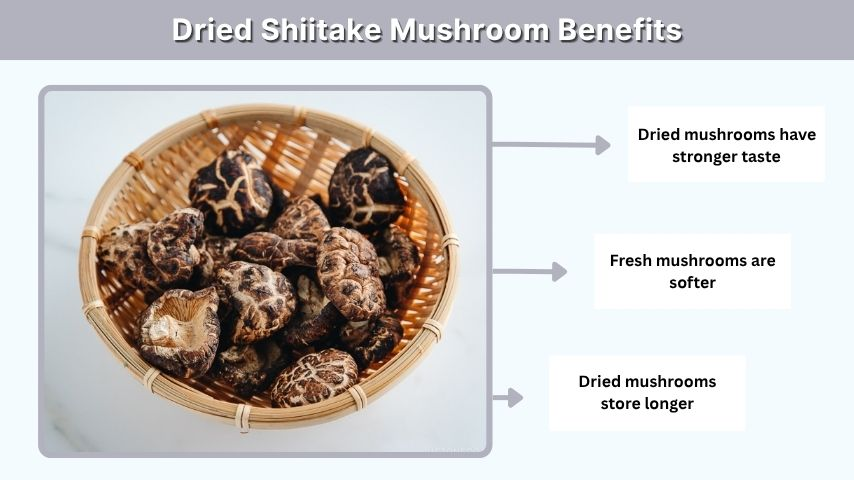 Dried Shiitake Mushroom Benefits