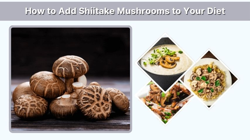How to Add Shiitake Mushrooms to Your Diet
