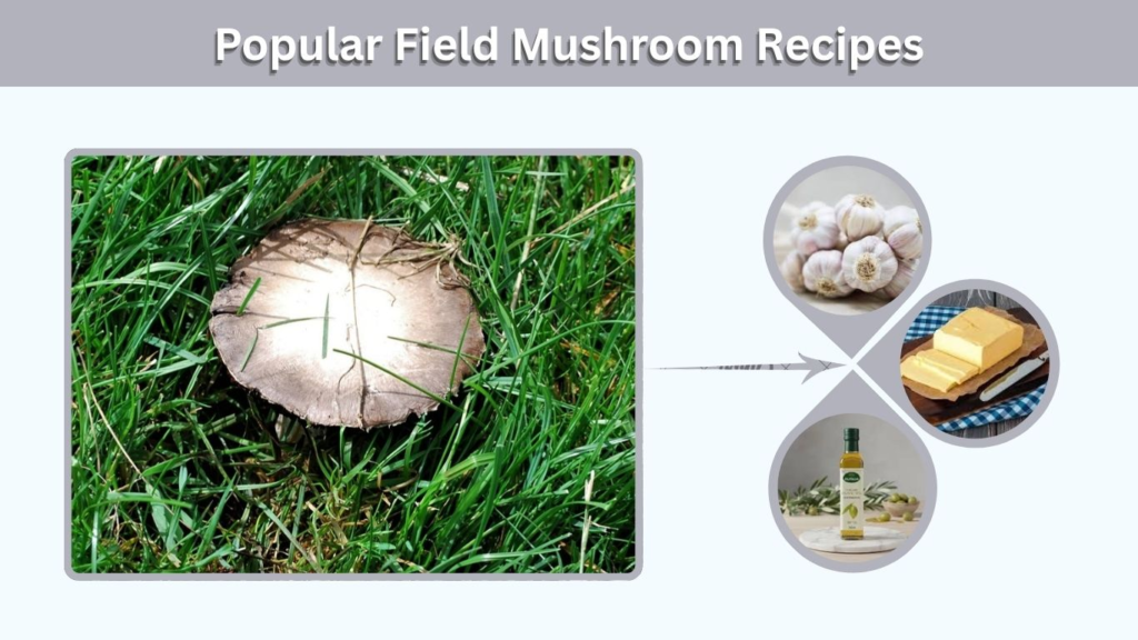 Popular Field Mushroom Recipes