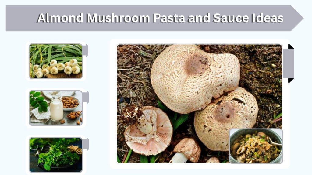 Almond Mushroom Pasta and Sauce Ideas