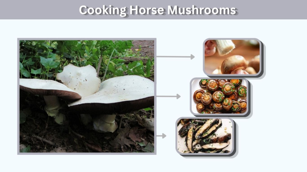 Cooking Horse Mushrooms
