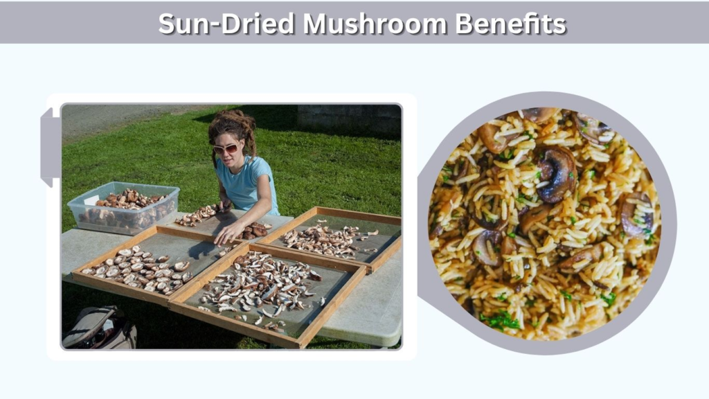Sun-Dried Mushroom Benefits
