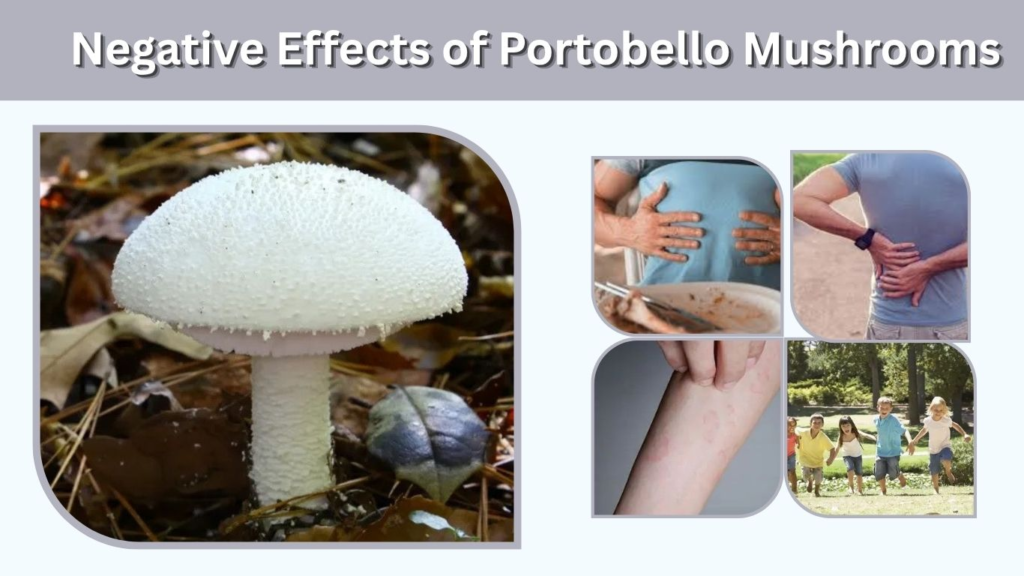 Negative Effects of Portobello Mushrooms: What to Know