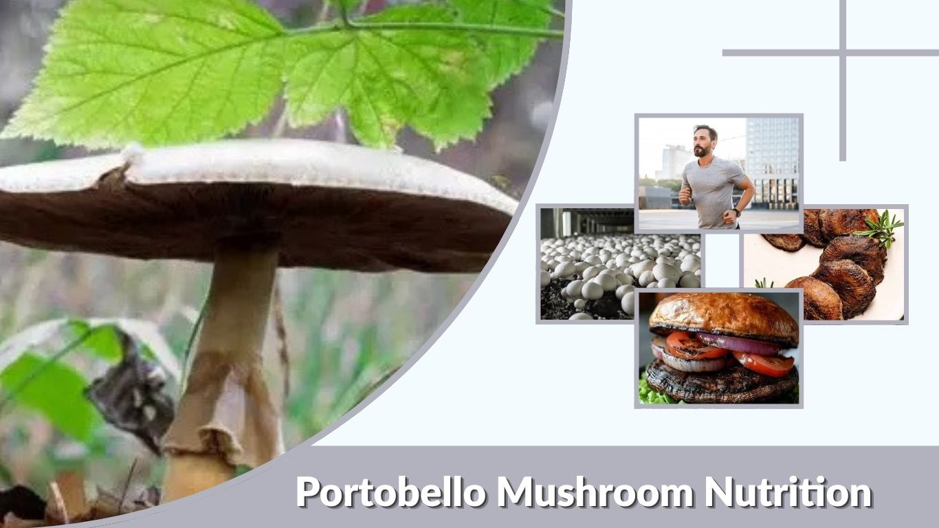Portobello Mushroom Nutrition: Calories, Benefits, and Facts