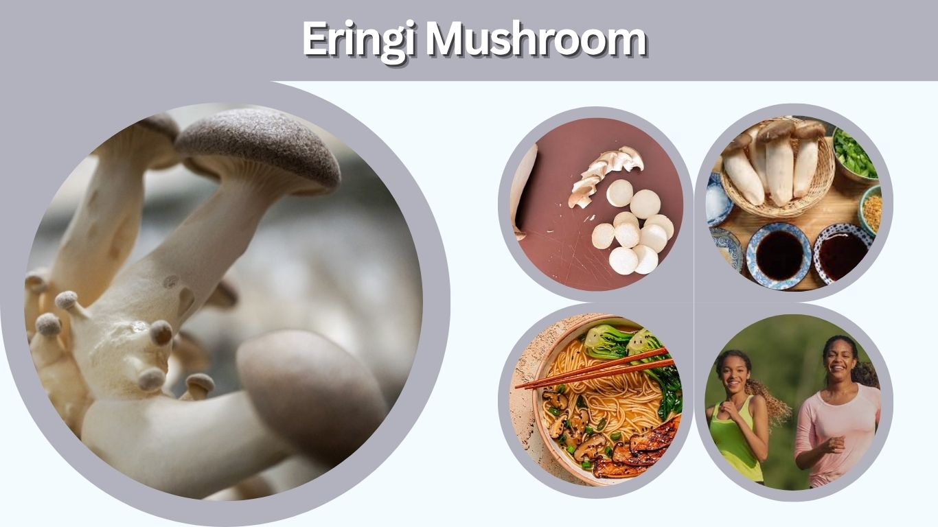 Eringi Mushroom: Benefits, Taste, Recipes and Uses