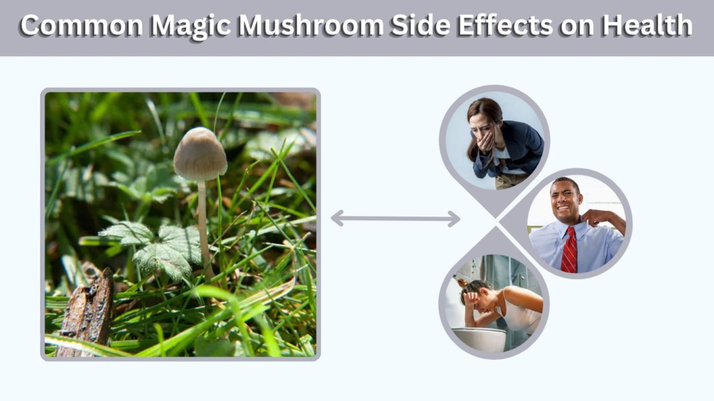 Common Magic Mushroom Side Effects on Health
