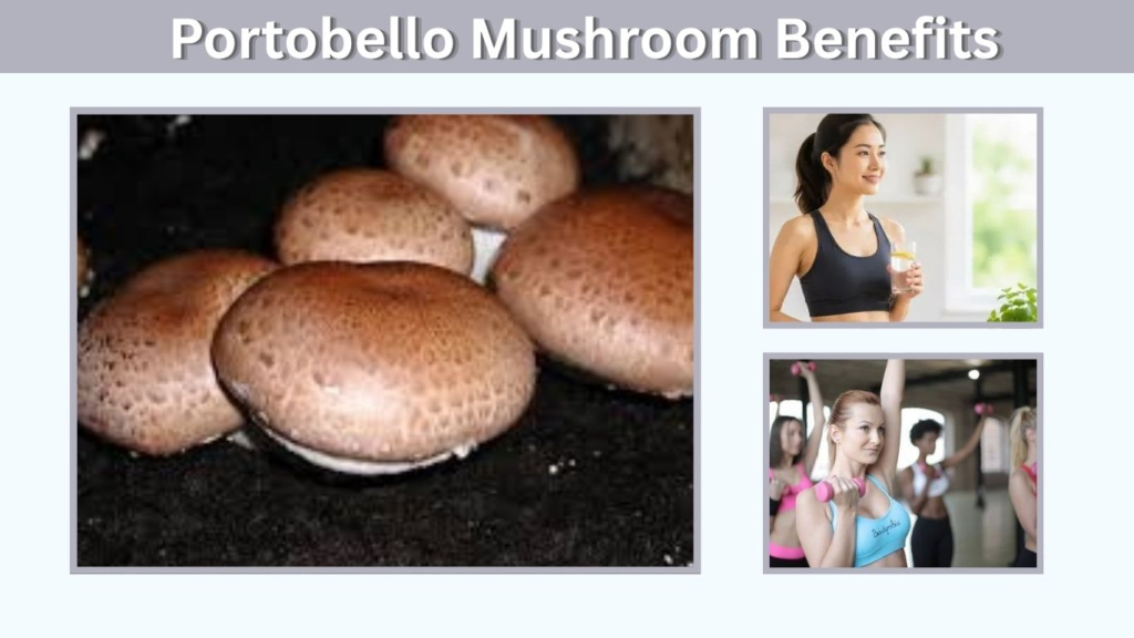 Portobello Mushroom Benefits: Nutrition, Health and Uses