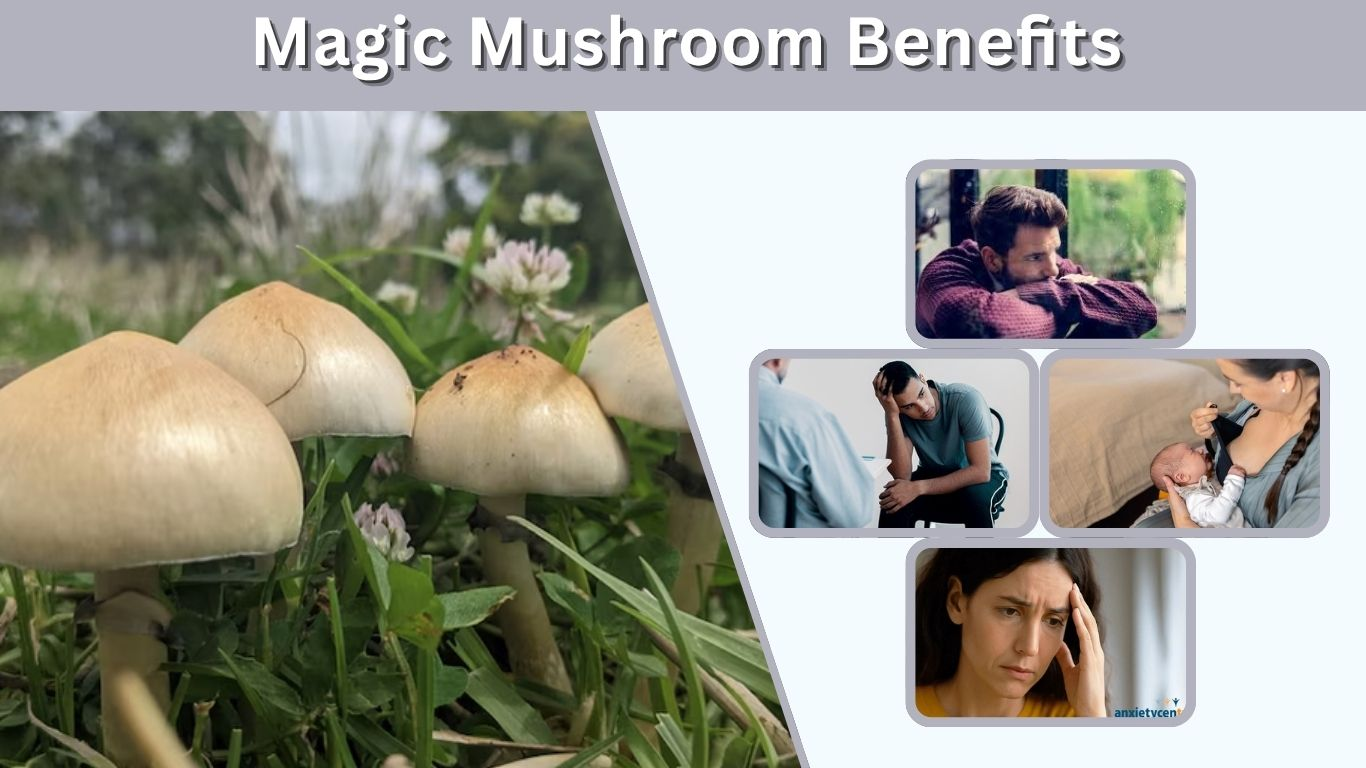 Magic Mushroom Benefits: Health Uses, Risks, and Facts
