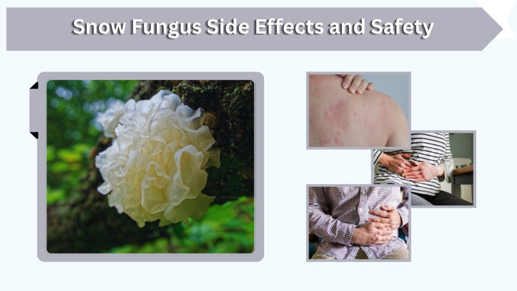Snow Fungus Side Effects and Safety