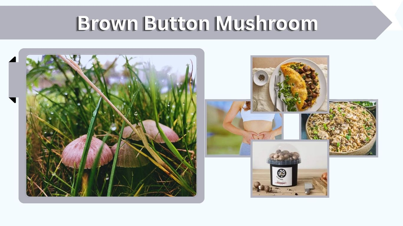 Brown Button Mushroom: Benefits, Nutrition and Uses