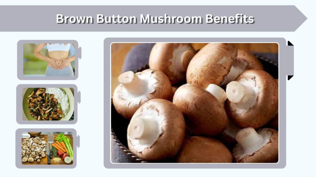 Brown Button Mushroom Benefits